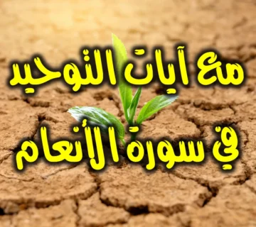 مع آيات التوحيد في سورة الأنعام 1 مع آيات التوحيد في سورة الأنعام