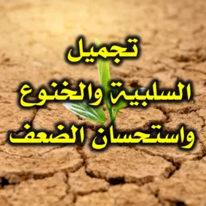 تجميل السلبية والخنوع واستحسان الضعف 300x300