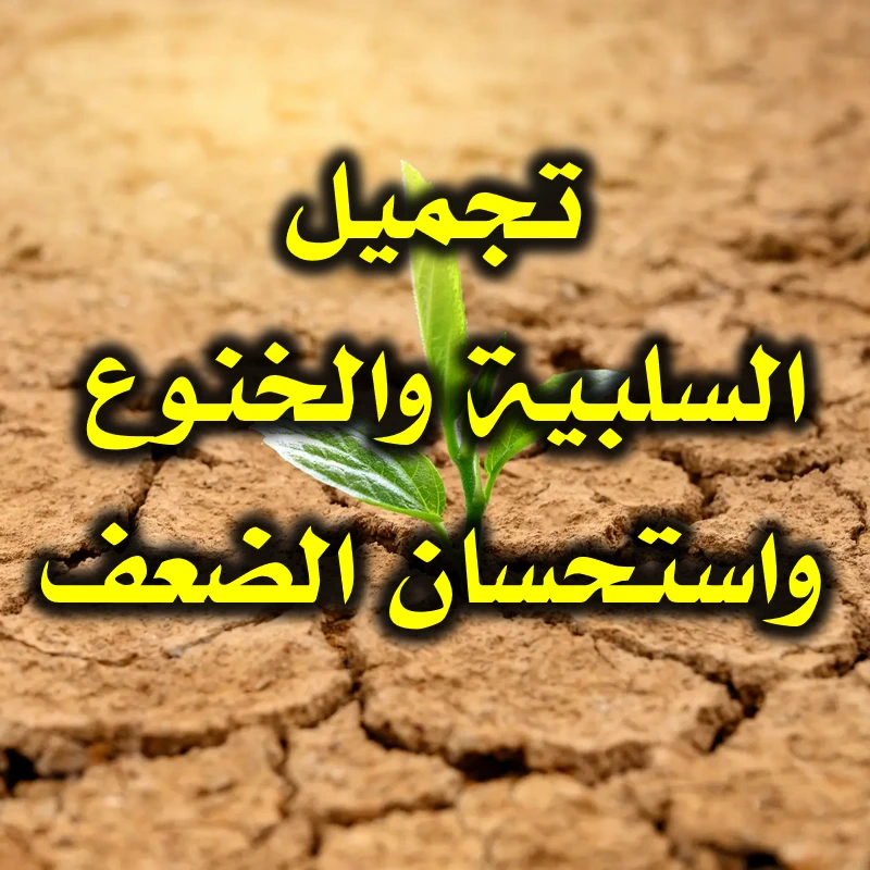 تجميل السلبية والخنوع واستحسان الضعف