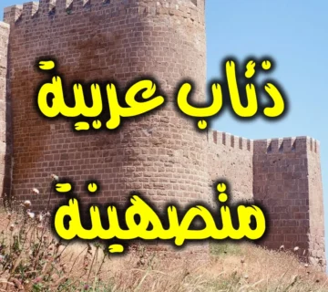 ذئاب عربية متصهينة