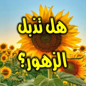 هل تذبل الزهور 300x300