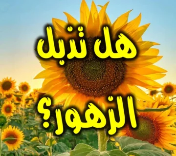 هل تذبل الزهور