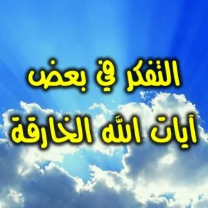 التفكر في بعض آيات الله الخارقة 300x300