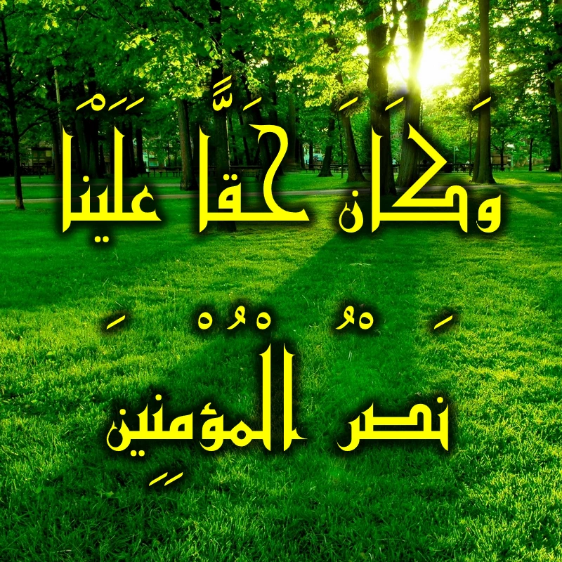 وكان حقا علينا نصر المؤمنين