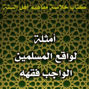 0439 أمثلة لواقع المسلمين الواجب فقهه