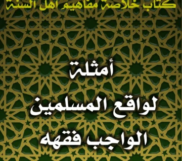 0439 أمثلة لواقع المسلمين الواجب فقهه
