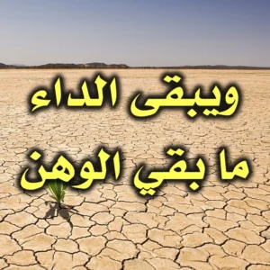 ويبقى الداء ما بقي الوهن 300x300