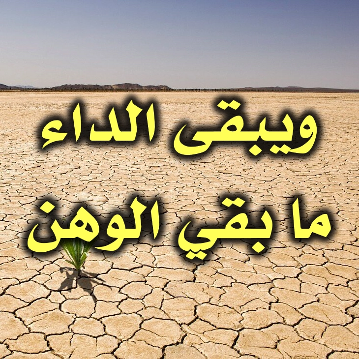 ويبقى الداء ما بقي الوهن