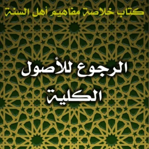 0441 الرجوع للأصول الكلية 300x300