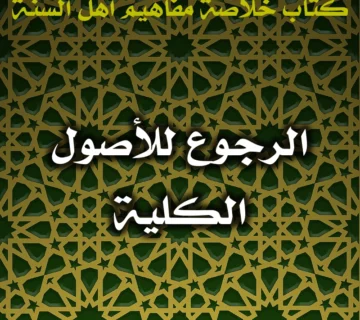 0441 الرجوع للأصول الكلية