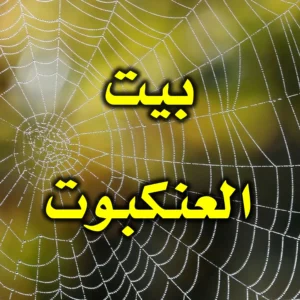 بيت العنكبوت 1 300x300