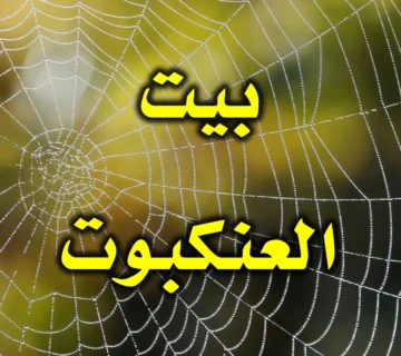 بيت العنكبوت 1