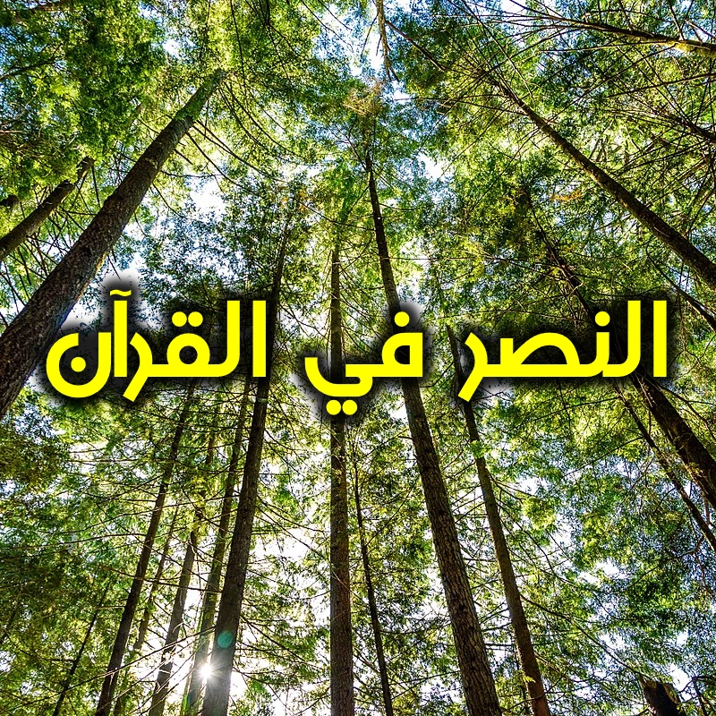 النصر في القرآن 1 النصر في القرآن