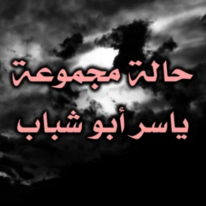 حالة مجموعة ياسر أبو شباب 300x300