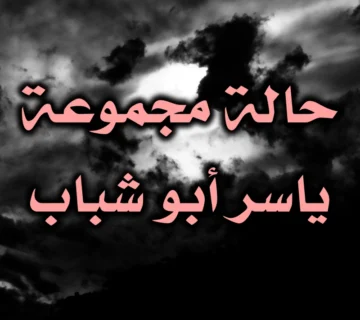 حالة مجموعة ياسر أبو شباب