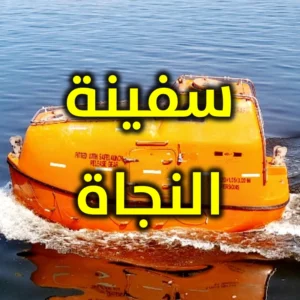 سفينة النجاة 300x300