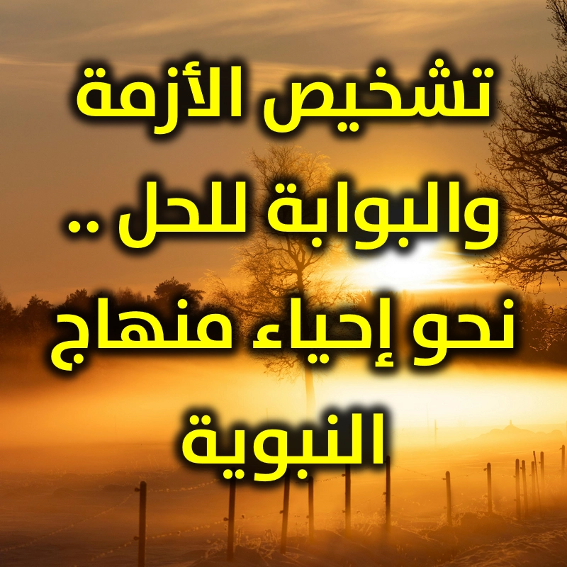 تشخيص الأزمة والبوابة للحل   نحو إحياء منهاج النبوية