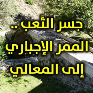 جسر التَّعب   الممر الإجباري إلى المعالي 300x300