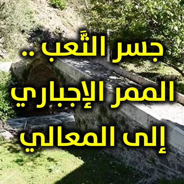 جسر التَّعب .. الممر الإجباري إلى المعالي 1 جسر التَّعب . الممر الإجباري إلى المعالي