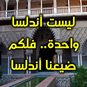 ليست أندلسا واحدة  فلكم ضيعنا أندلسا 300x300