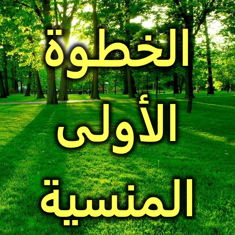 الخطوة الأولى المنسية