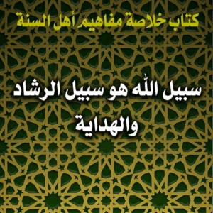 سبيل الله هو سبيل الرشاد والهداية