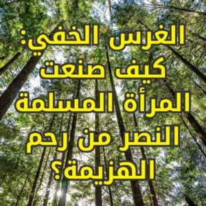 الغرس الخفي: كيف صنعت المرأة المسلمة النصر من رحم الهزيمة؟