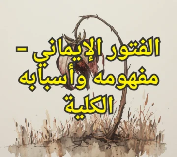 الفتور الإيماني – مفهومه وأسبابه الكلية