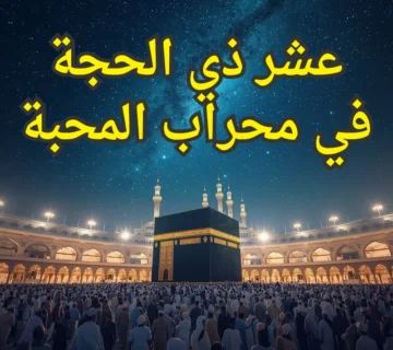 تصميم صور المنشورات 21 360x320