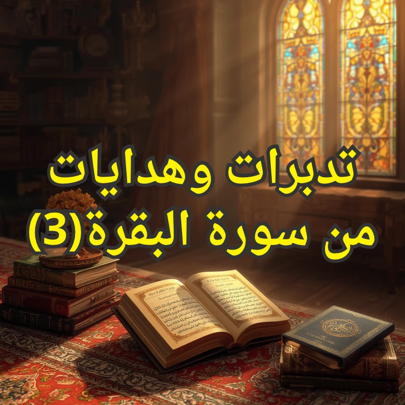 تصميم صور المنشورات 16 3