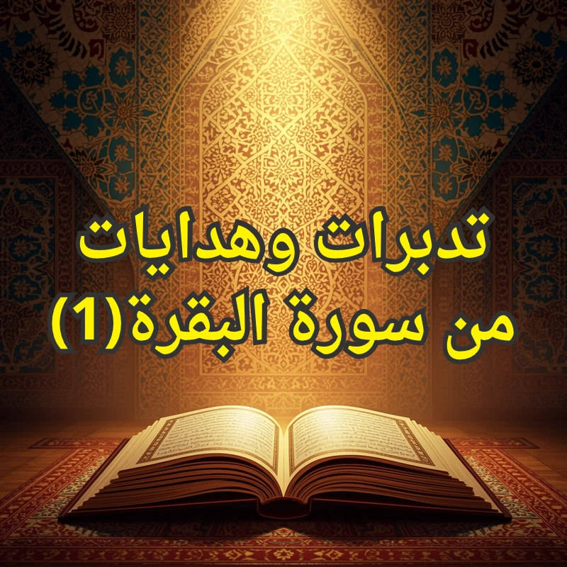 تصميم صور المنشورات 21 1