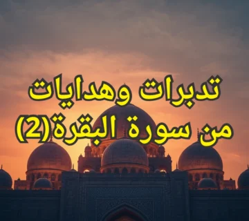 تدبرات وهدايات من سورة البقرة(2) 1 تصميم صور المنشورات 3 3 360x320