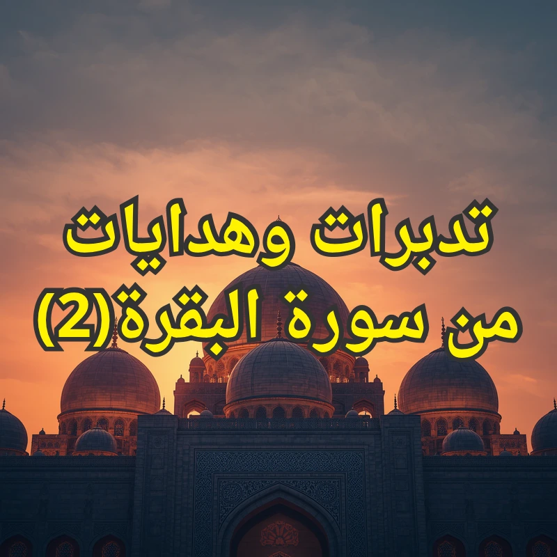 تصميم صور المنشورات 3 3