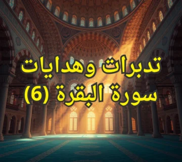 تصميم صور المنشورات 14 1 360x320