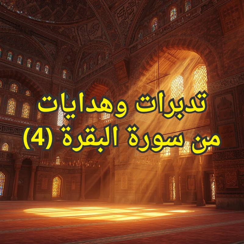 تصميم صور المنشورات 14
