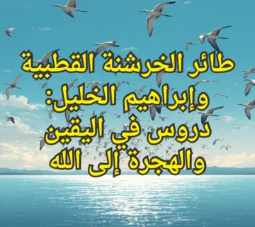 تصميم صور المنشورات 2 360x320