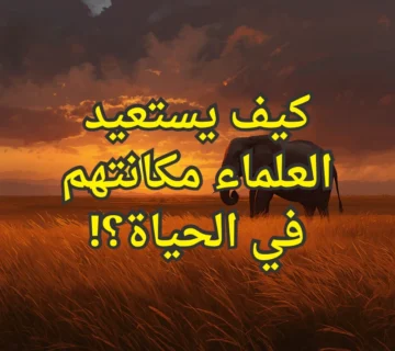 تصميم صور المنشورات 25 360x320