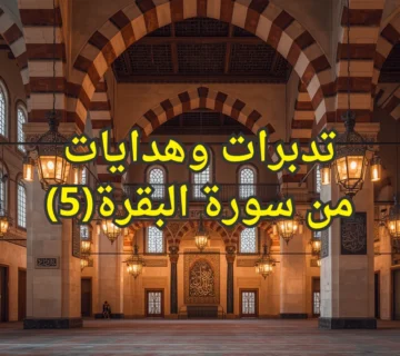 تصميم صور المنشورات 3 360x320