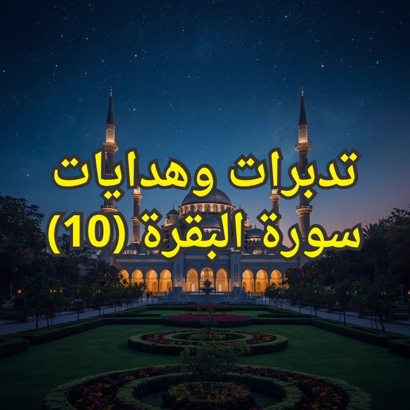 تصميم صور المنشورات 4 4