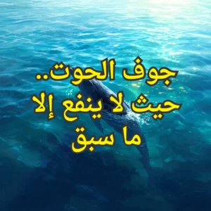 جوف الحوت