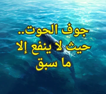 تصميم صور المنشورات 6 1 360x320