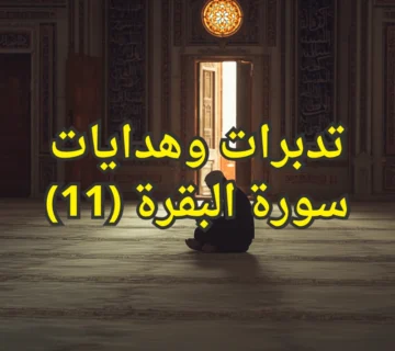 تدبرات وهدايات سورة البقرة (11) 3 تصميم صور المنشورات 3 360x320