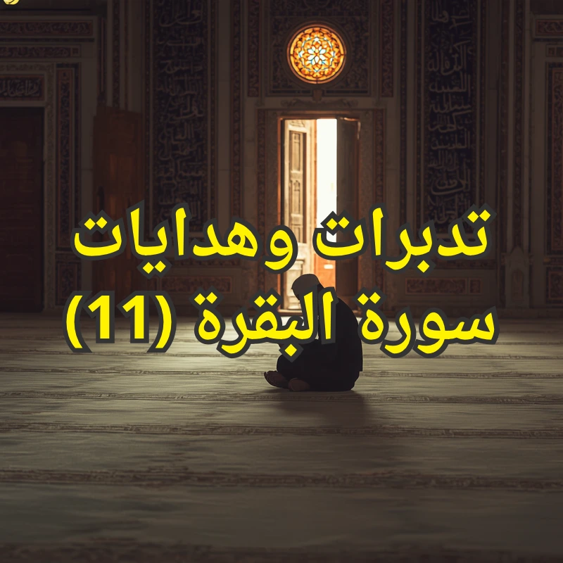 تدبرات وهدايات سورة البقرة (11) 1 تصميم صور المنشورات 3