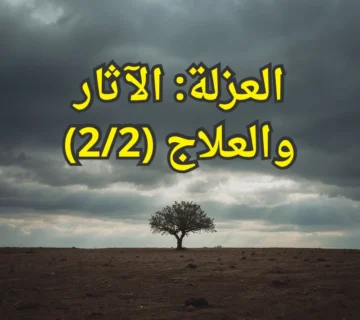 تصميم صور المنشورات 2 360x320